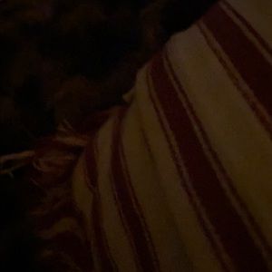 Meet your Posher, Alan